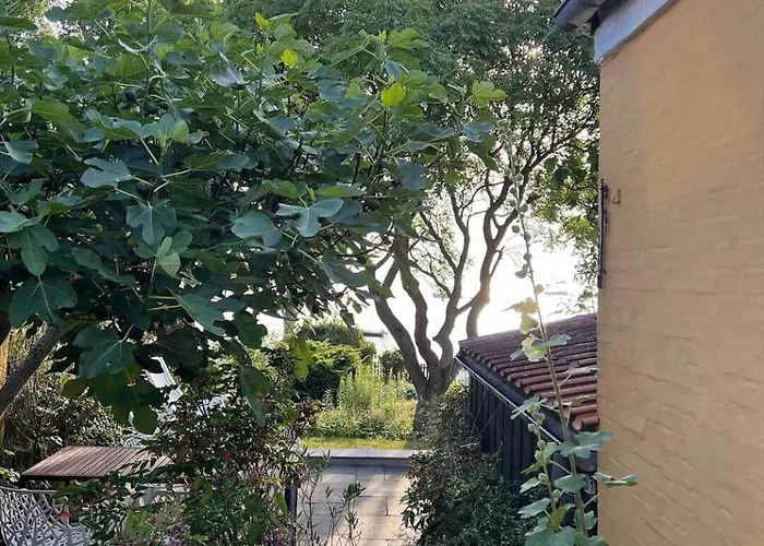 Ae320-aeroskobing-norregade-17 *